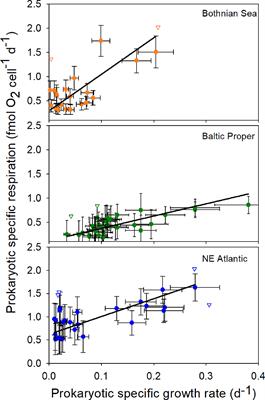 Extensive prokaryotic maintenance respiration in the sea influenced by osmoregulation